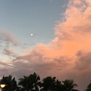 Meet your Posher, Kaitlyn